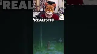 Life as a Cat 