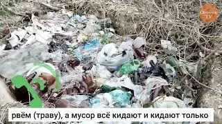 Дежурная по мусоркам в Кропоткине выехала на новый адрес