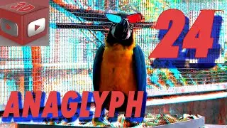 3d stereoscopic anaglyph real yt3d red blue glasses vr demo 24 wyh78