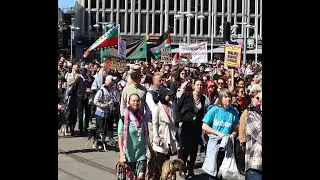 Free Palestine