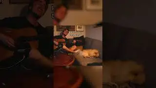 Exit Music (For A Film)