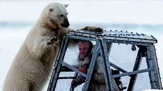 7 Times Polar Bear Attack Human