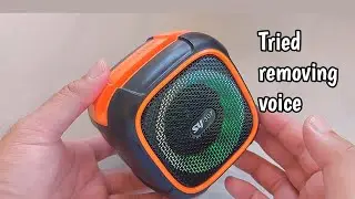I tried to Remove the Voice that says 