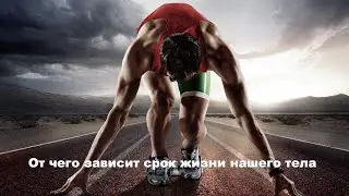 От чего зависит срок жизни нашего тела