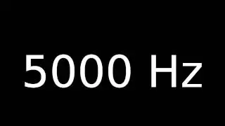 5000 Hz