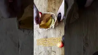 Astuce conservation des fruits