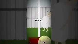 Баба Алла гоняет петухов и кур 