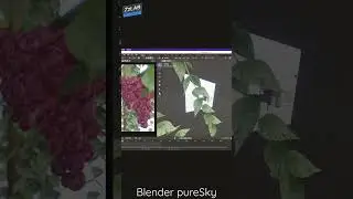 Blender test puresky