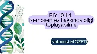 BİY.10.1.4. Kemosentez hakkında bilgi toplayabilme 