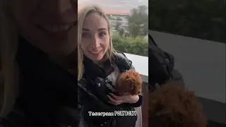 Наш пушистик тойчик Боня🐾