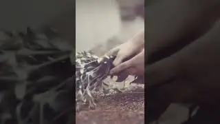 арсенал военной академии - водопады 