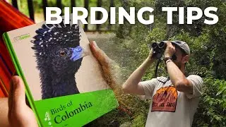 How to Prepare for a Birding Trip to a New Location | Cheep!