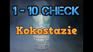 1 - 10 Check / Kokostazie