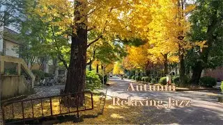Autumn playlist, relaxing music, jazz, the fall, Autumn in Kyoto, Kyoto University