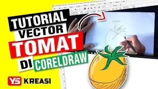 #035 Tutorial desain vector tomat di coreldraw - lengkap dengan sketsa