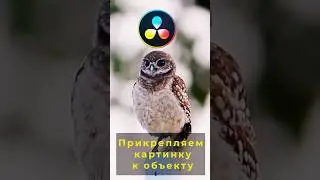 Как прикрепить картинку к объекту в DaVinci Resolve! Быстрый трекинг в DaVinci. 