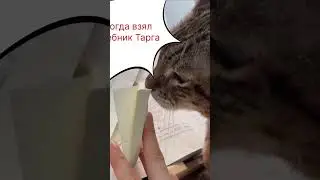 #сопромат #теормех  помогу сдать. Пиши в телеграмм