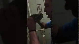 Французский поцелуй с Черепахой