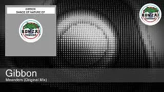 Gibbon - Meanders (Original Mix)