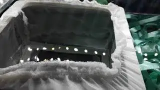 Lepistes Yavrularını Hızlı Büyütme Yöntemleri