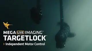 Independent Motor Control - MEGA Live Imaging TargetLock™ | Humminbird