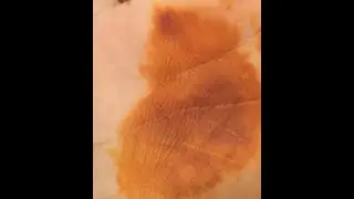KINA NASIL HAZIRLANIR  NASIL YAKILIR