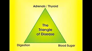 Pharmacist Ben Fuchs - The Triangle of Disease Behind All Degenerative Diseases.