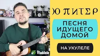 Ю-ПИТЕР - ПЕСНЯ ИДУЩЕГО ДОМОЙ укулеле кавер