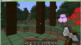 Minecraft Survival World S:1 E:8 Tree Path Part 1
