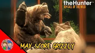 💎MAX SCORE GRIZZLY, we get hunted by wolfs... twice 😭😭
