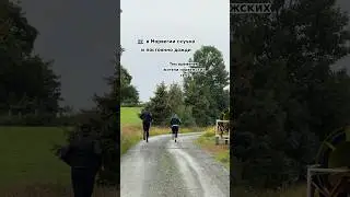 Жизнь в норвежском селе