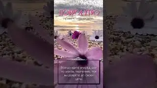 доброе утро!
