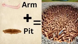 Literally Vs Reality Compound Words  Part 3 I Learn Compound nouns in one video I English Learning