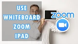 How to Share Whiteboard on Zoom for iPad in 2024