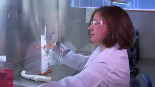 Reducing Cell Culture Contamination: Aseptic Technique