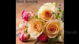 New Good Morning Video - Whatsapp