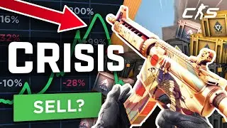 The Skin & Case Crisis - Everything You Need to Know