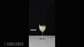 🌻 𝘚𝘶𝘯𝘧𝘭𝘰𝘸𝘦𝘳 / 선플라워