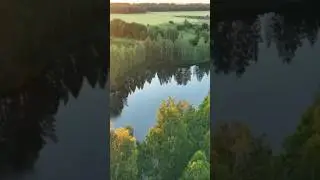 Пруд Большак в Рязанской области #nature