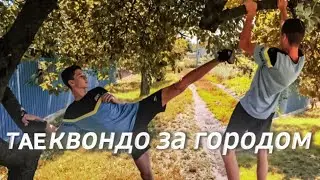 Тренировки по Таеквон-до за городом!