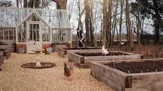 I HAD NO IDEA CHICKENS WOULD IMPACT THE GARDEN LIKE THIS | Ali Gordon