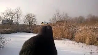 Мой пруд.