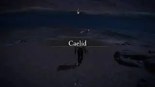 failing to play Elden Ring