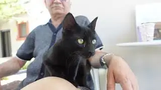 DADDY & CAT