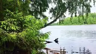 Весьегонск 6 июля 2018