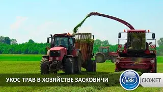 Укос трав в хозяйстве Засковичи