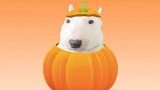 Trick or Treat