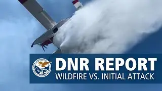 Wildfire vs. Initial Attack