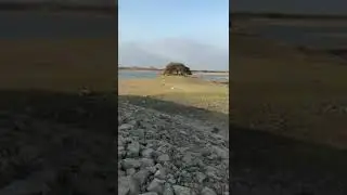 Es alarmante la situación que de vive en el reservorio de #Poechos