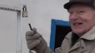 Высоко-лётные голуби Григорова Б. Т.